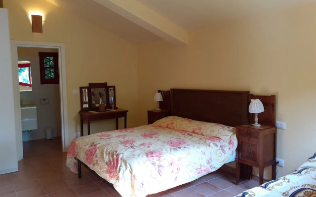 Pier delle Vigne B&B