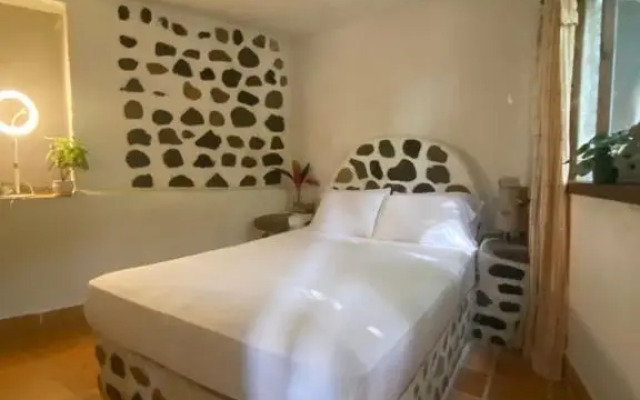 Jungle River Lodge