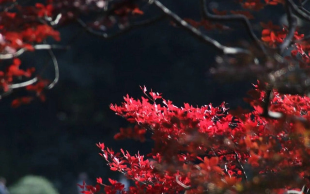 Tora Hotel Rikugien - Vacation STAY 52744v