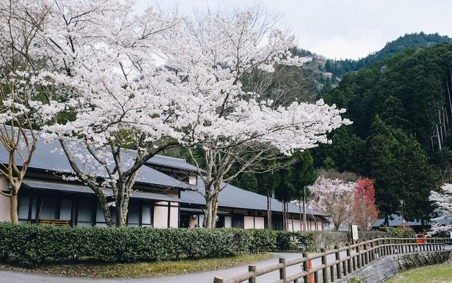 Hiyoshi Forest Resort Yamanoie