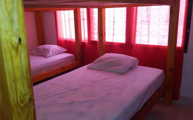 Taganga Paradise Hostal & Diving - Hostel - Hostel in 圣玛尔塔 - Photo 2