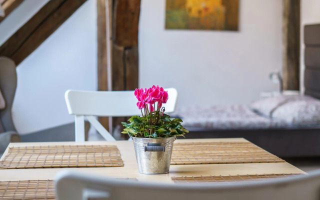 Vienna Living Apartments - Berggasse