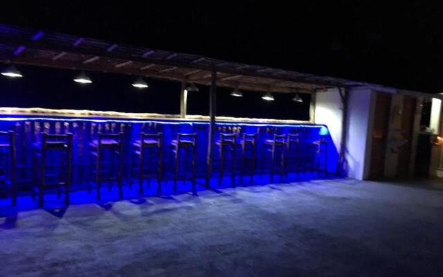 Hostel Lions