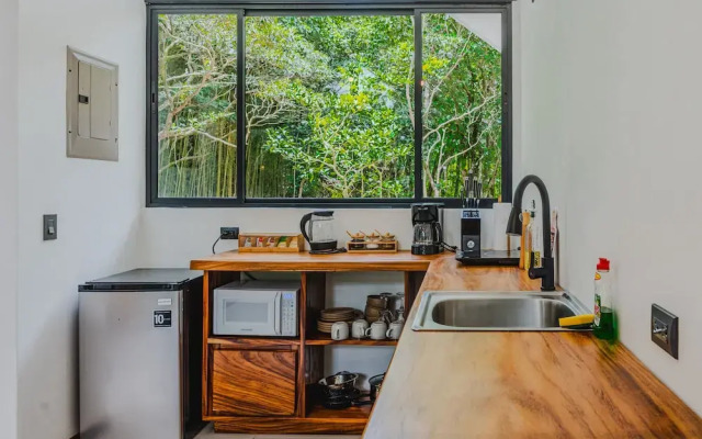 Floresta Monteverde