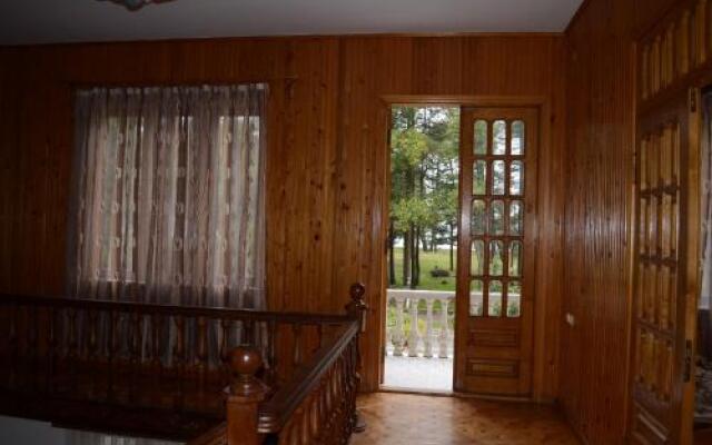 Guesthouse Burevestnik