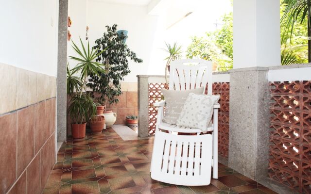 I tre Golfi Tartarughe