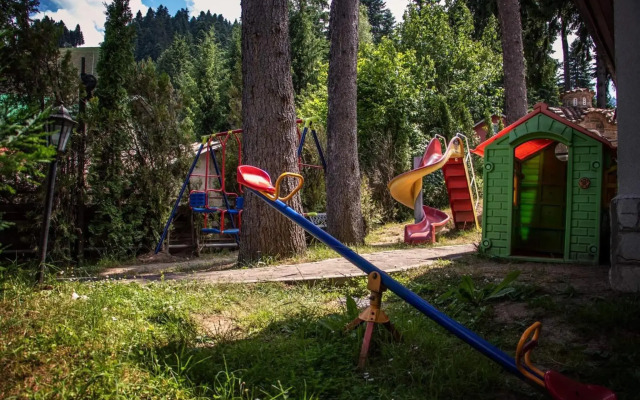Villa Alpin