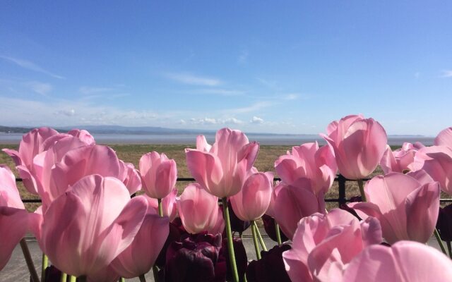 The Hideaway at Thornleigh