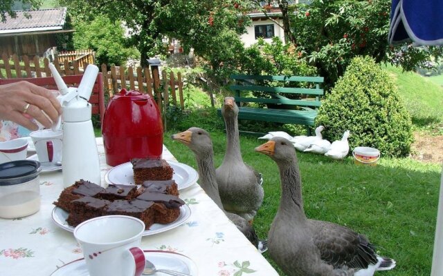 Bauernhof Oberscheffau