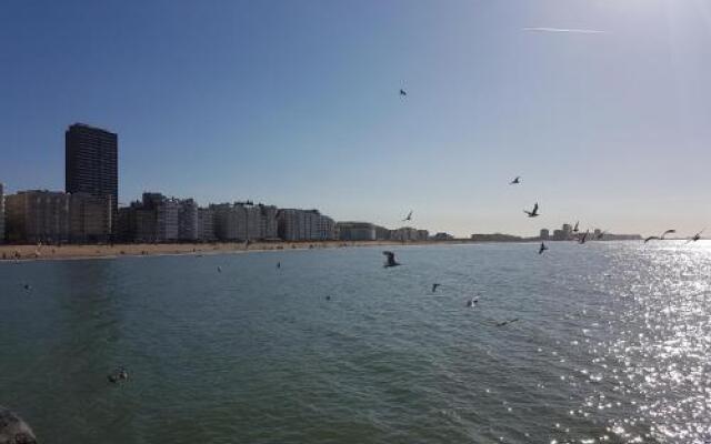 Marina Mercator