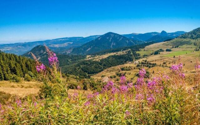 Gîte Yssingeaux, 2 pièces, 3 personnes - FR-1-582-34