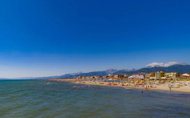 Madda Camaiore in Camaiore