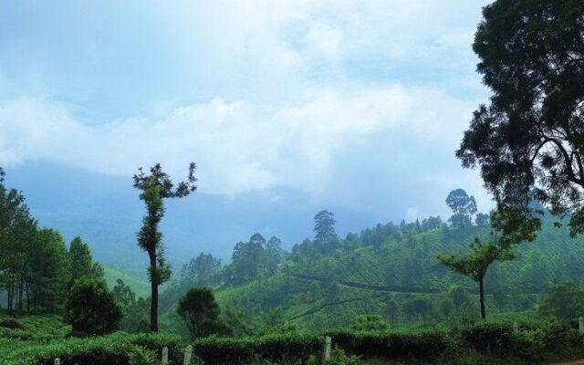 Gokulam Park Munnar