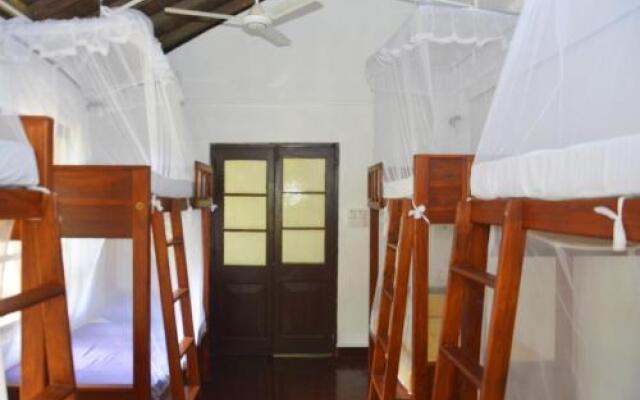 Fig and Gecko Hostel