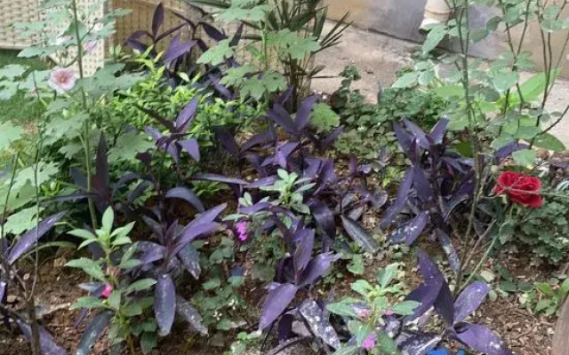 Huanglongshan Youth Hostel