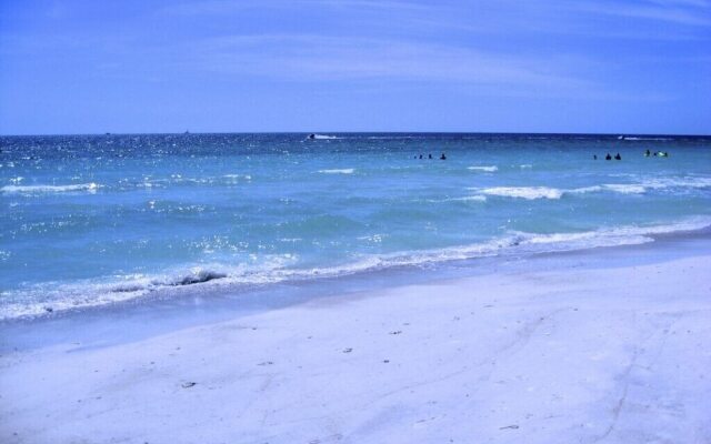 Beach Palms 5B by Anna Maria