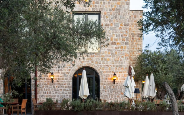 Mashtra The Olive House