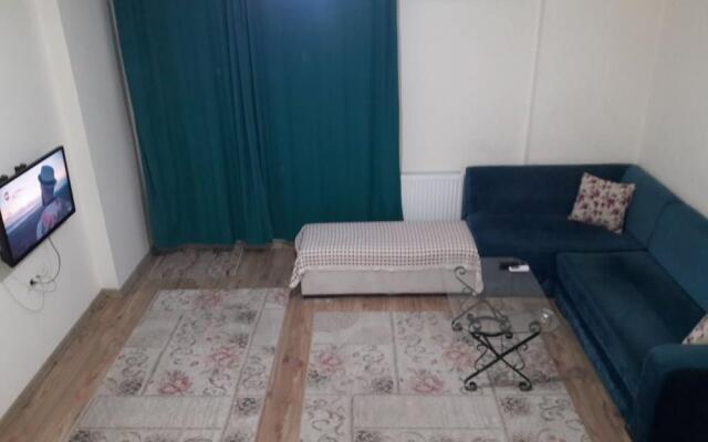 MC Suite
