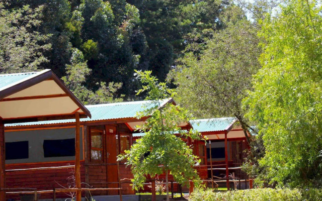 Tri Active Lodge