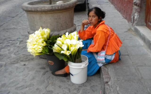 San Miguel Glass House Apartment