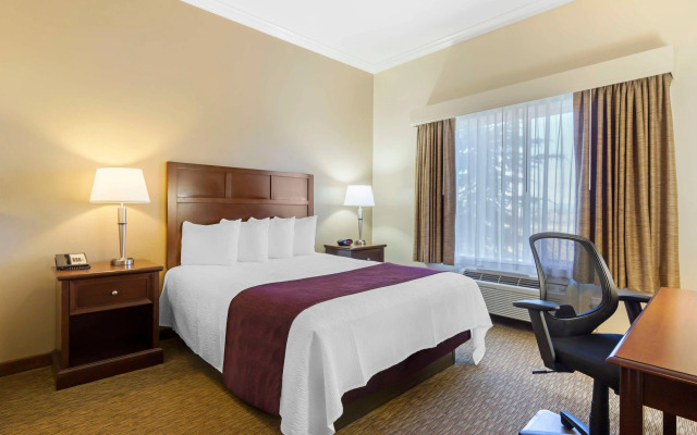 Best Western Plus Grapevine Inn