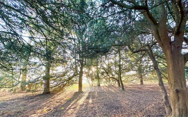 Sherwood Castle Holiday Forest