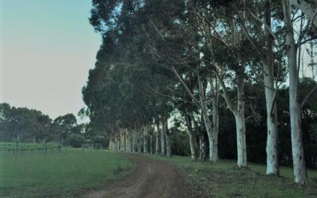 Harmony Forest Lake Side Lodge