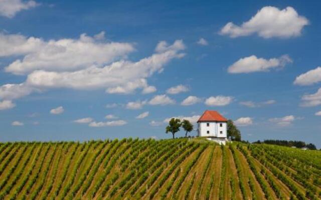 Wine Grower's Mansion Zlati Gric