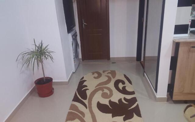 Apartament Cosmin Strada Rozelor Etaj 4