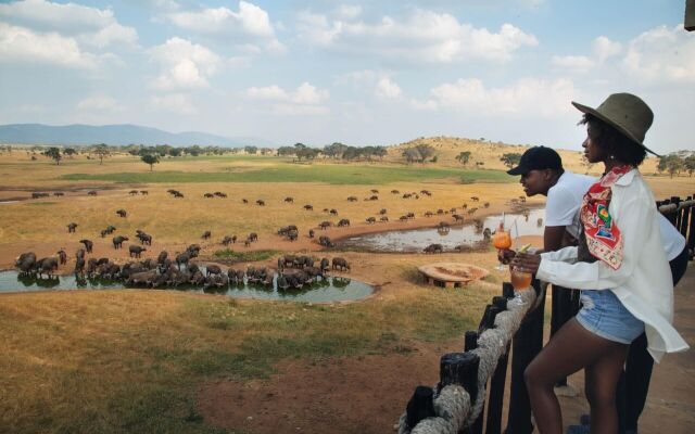 Salt Lick Safari Lodge