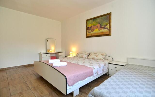 Apartment Branko 2081