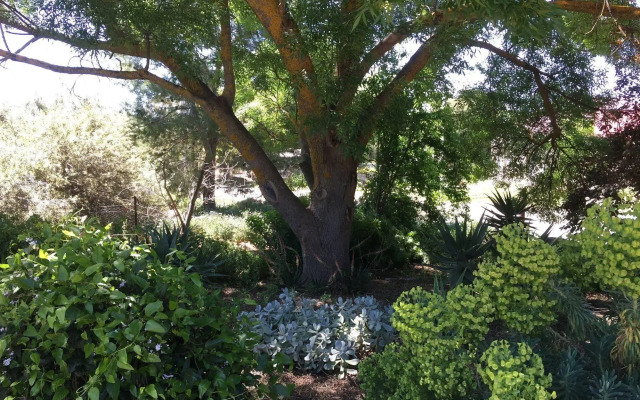 Lyreen's Apartment B&B