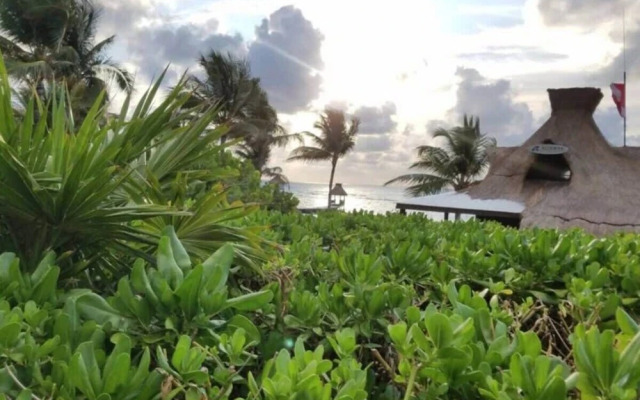 2BD Grand Bliss Vidanta Resort RM