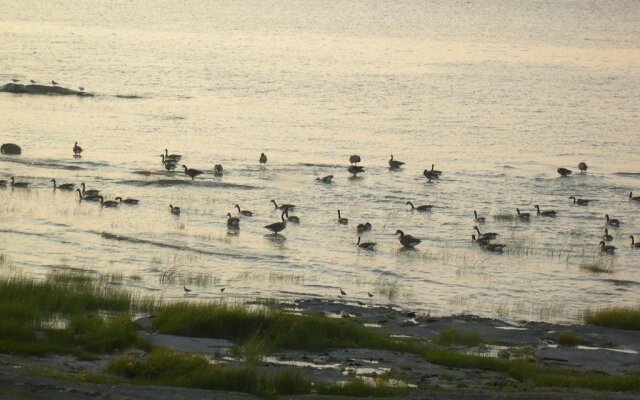 Gîte les pieds dans l'eau B&B
