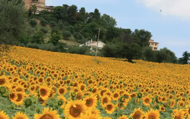 Il Borghetto di Sotto
