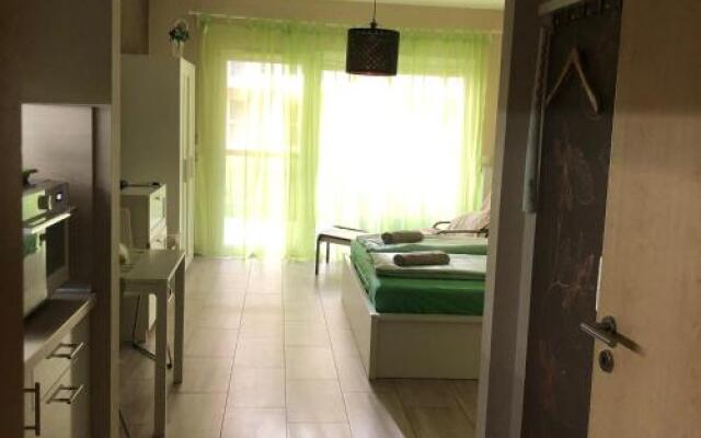 Tóparti Wellness Apartman