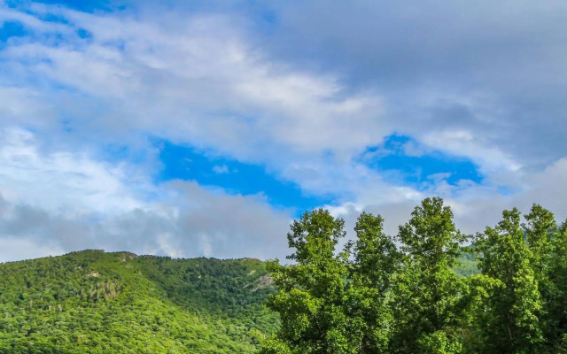 Smoketree Lodge by VRI Resort