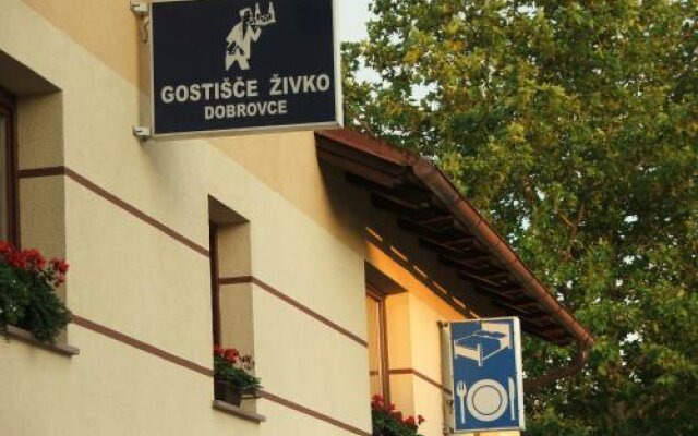 Guesthouse Živko