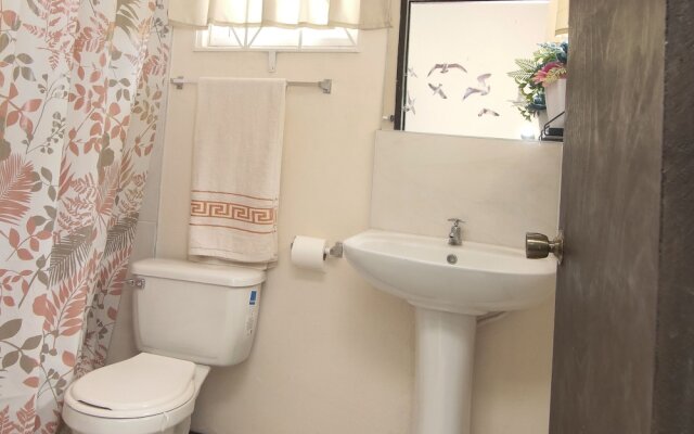 876 JA Oasis by Kingston Airport