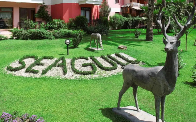 Seagull