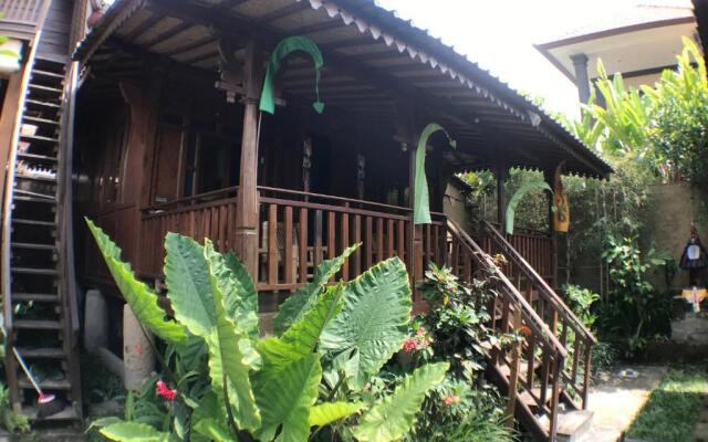 Green Paddy Hostel