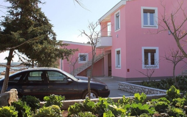 Zvone1 - at the Water Front - A5