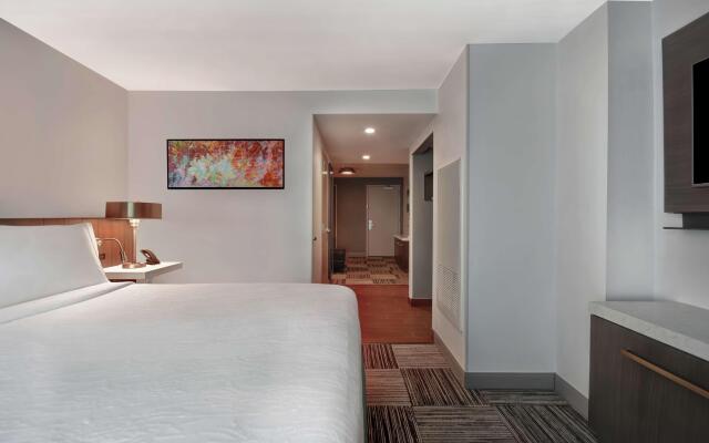 Hilton Garden Inn Houston/Galleria Area