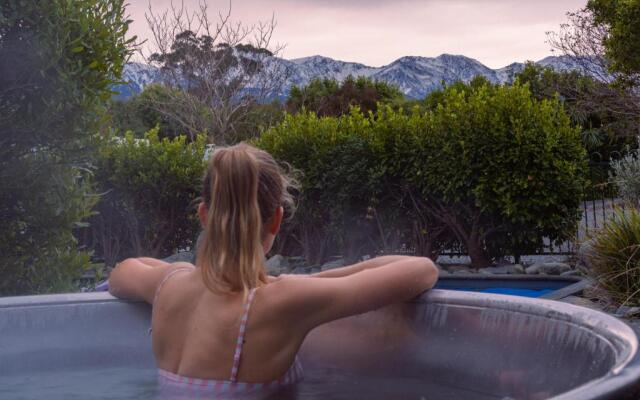 Alpine-pacific Holiday Park