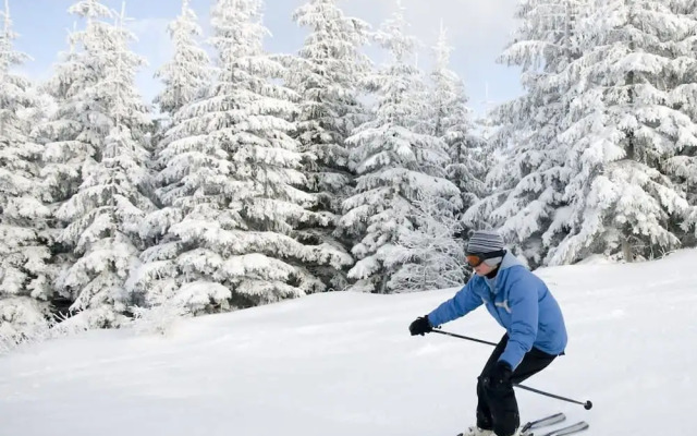 Wintergreen Ridge Retreat - Family Home