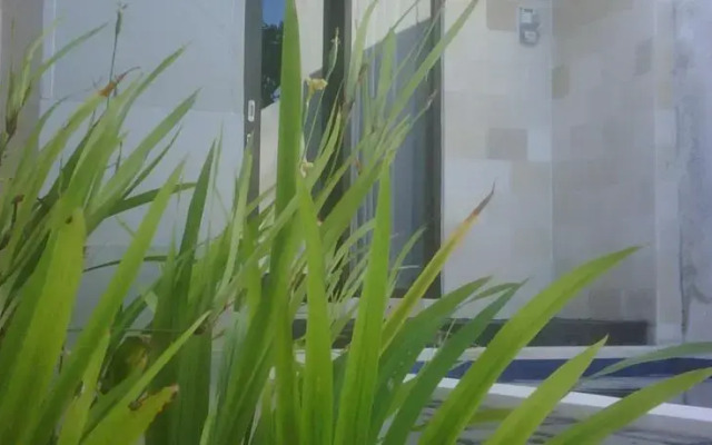 Pecatu Palm Villas