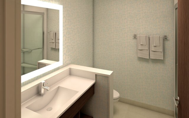 Holiday Inn Express & Suites Downtown Ottawa East by IHG