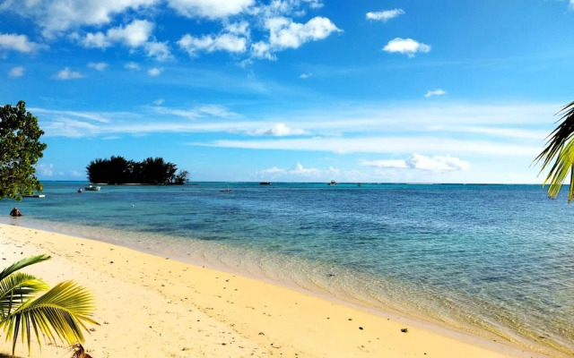 Moorea - Tropical Nest