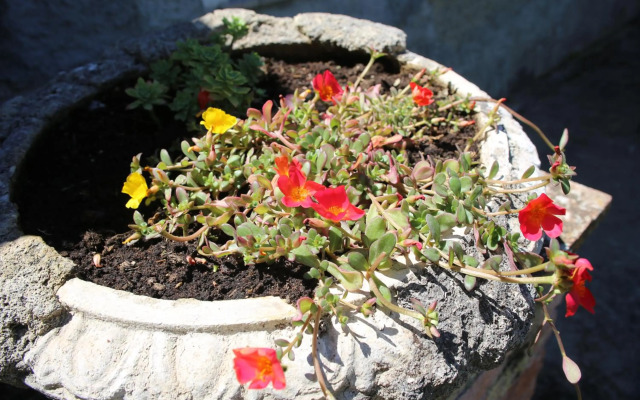 Villa Santa Maddalena