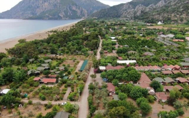 Şah Apart